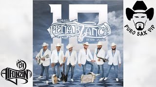 Conjunto Peña Blanca  Solo Con Verte ♪ 2017 [upl. by Rimat866]