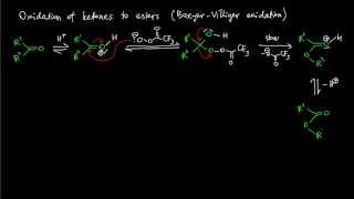 A12 BaeyerVilliger oxidation reaction mechanism [upl. by Gettings]