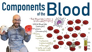 Components of Blood [upl. by Ruenhs521]