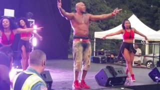 Flo Rida Wild Ones Live SFNE 83015 [upl. by Nereen]