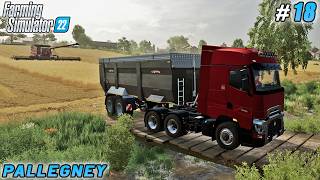 Creating Large Field for Sowing and Supplying Mill with Raw Materials  Pallegney Farm  FS 22  18 [upl. by Marquardt]