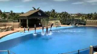 uShaka Marine World Durban Attraction KwaZulu Natal [upl. by Secunda316]