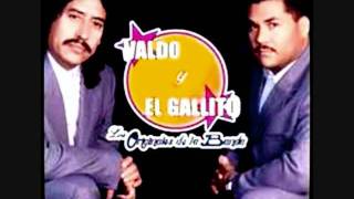 VALDO Y EL GALLITOA PURO DOLOR [upl. by Jeffie]