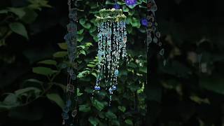 Wind Chime  Broken Mirror Wind Chimes  Wind chime with sound  diy art shorts viralshorts [upl. by Lam]