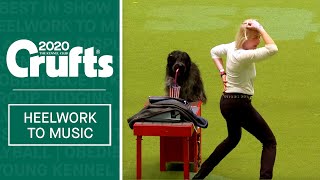 International Freestyle Heelwork To Music  Part 3  Crufts 2020 [upl. by Eneladgam]