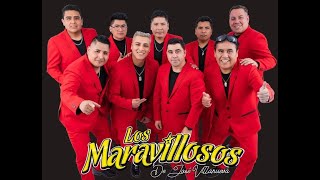 LOS MARAVILLOSOS DE JV  MIX CENTENO [upl. by Aihsat]