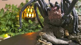 Sideshow Weta Lord of the Rings Shelob Review [upl. by Akamahs153]