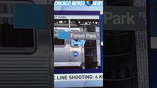 Pt1 CTA Blue line Shooting 4Ppls Killed in Chicago IL this is Crazy y’all Im praying🙏🏿for our City [upl. by Eiram948]