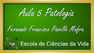 Patologia Aula 5  Adaptações celulares  hipertrofia [upl. by Quita]