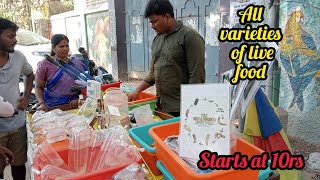 All varieties of live food for fishes in one shop  kamal fish farm [upl. by Aloisius]