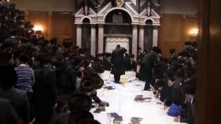 Sanz Klausenburg Rebbe Throws Apples Shul Decends into Pandemonium [upl. by Eldnek]