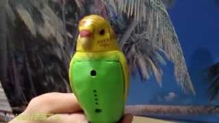 Perfect Polly Parakeet Pet Bird Toy [upl. by Robison]