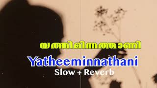 Yatheeminnathani slow  Reverb  യത്തീമിന്നത്താണി  Yatheeminnathani cover [upl. by Andersen536]