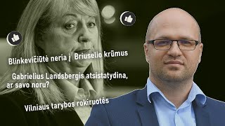 20241102  Blinkevičiūtė ir Landsbergis nebėra partijų lyderiai [upl. by Nahij]