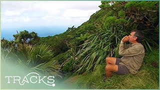 Exploring Lord Howe Island What Lies Between Australia And New Zealand  TRACKS [upl. by Adlai]