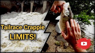 Fishing Flood Waters for Crappie  Truman Lake Tailrace Fishing [upl. by Oecam572]