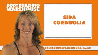 Bodybuilding Warehouse  Sida Cordifolia [upl. by Odla654]