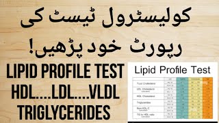 How to Read Cholesterol Test Report Urdu Hindi  Lipid profile Test  HDL LDL amp Triglycerides Test [upl. by Lindsley]