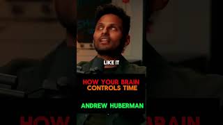 Neuroscientist How Your Brain Controls Time  Andrew Huberman neuroscience shorts [upl. by Schenck177]