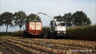 Mais hakselen Loonbedrijf Grootenhuis Stegeren Corn harvest Maize ernte [upl. by Aisnetroh]