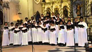 Dalit Liturhiko 4 Nanung gewa mu  Mirabilia Dei Choir [upl. by Brelje344]