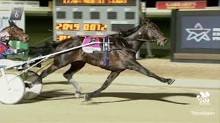 2024 Renwick Farms NZ Trotters FFA 1720M Melton Australia  Callmethebreeze 1588 [upl. by Favian243]