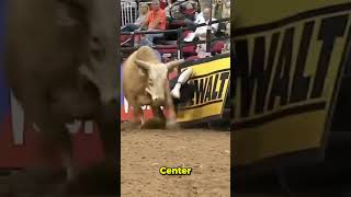 The BULLFIGHTERS World westernsports rodeowrecks rodeo pbr bullfighters bullriding [upl. by Nirat]