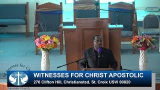 Witnesses for Christ Apostolic Church Live Stream [upl. by Lemrahs]