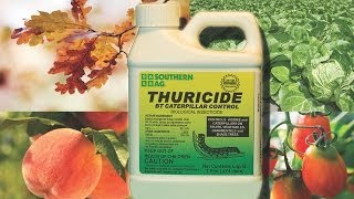 SOUTHERN AG THURICIDE BT Caterpillar Control [upl. by Einot]