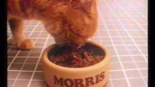 9 Lives Cat food Advert 1984 OLD Adverts [upl. by Eedya]