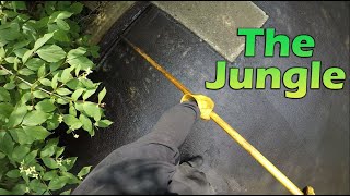 Professional Driveway Sealcoating  The Jungle [upl. by Enilarak]