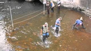 Salmon Snagging Oak Orchard Dam [upl. by Dayna]