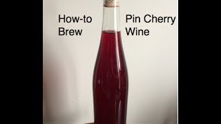 How to Brew Pin Cherry Wine in the Alberta Urban Garden [upl. by Trinatte]