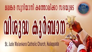 Nov 03 Sunday l Holy Qurbono l FrGodwin Christo OIC l StJude Malankara Catholic Church Kulappada [upl. by Brittani]