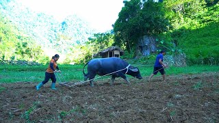 The process of plowing the land with primitive tools  expanding agricultural production [upl. by Nnaaihtnyc]