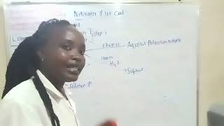 Chemical properties of HNO3 Nitric v acid in a flow chart diagram [upl. by Etna]