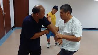 Zeng Xiang Bo曾祥柏 Tai Chi Push Hands instructionFrom Basic to Applications II [upl. by Zsuedat497]