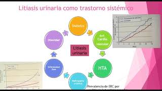 litiasis renal [upl. by Tselec]