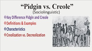 Pidgin and Creole in Sociolinguistics Urdu amp Hindi Pidgin and Creole Examples Linguistics [upl. by Kendyl]