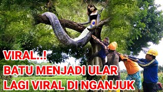 Gempar di Nganjuk Batu jadi ular lagi Viral di Nganjuk [upl. by Trembly]