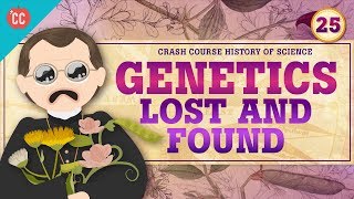 Genetics  Lost and Found Crash Course History of Science 25 [upl. by Akkahs]