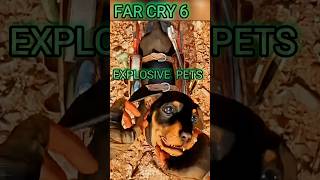 Explosive pets  far cry 6 gameplay gets WILD parts 3 shorts farcry6 gaming gamingshorts [upl. by Lener]