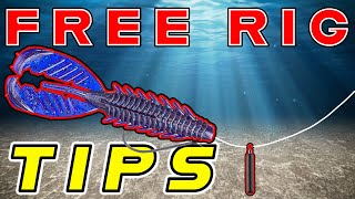 Free Rig Fishing For Bass Tips And Tricks  Underwater Footage [upl. by Doreen]