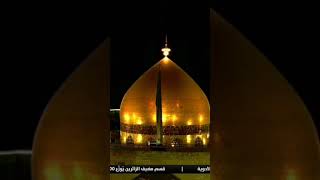 imam ali murtaza live quotshortquot naat mola rang de [upl. by Yeltnerb]