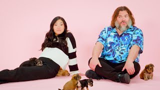 Jack Black and Awkwafina The Puppy Interview [upl. by Inger15]