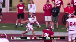 Luke Timians SingleHanded Touchdown Catch for Crimson [upl. by Taka]