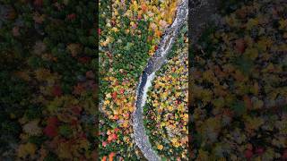 Dont wait for the perfect moment  life is happening right now fall nature drone outdoors [upl. by Sophy]