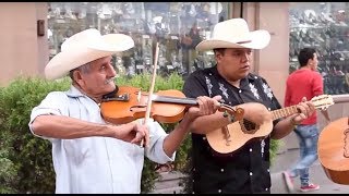 Trío Tordo Huasteco toca El Querreque en La Calle del Huapango en SLP [upl. by Yekram]