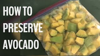 HOW TO PRESERVE AVOCADO [upl. by Chandler]