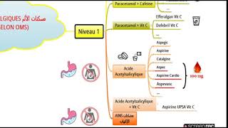 مسكنات الألم Les Antalgiques حفظ أسماء الأدوية [upl. by Juta]